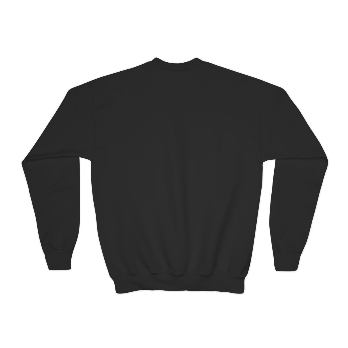 ZHC "Join the Art Alliance" Kids Crewneck - alternate angle 1, merchandise